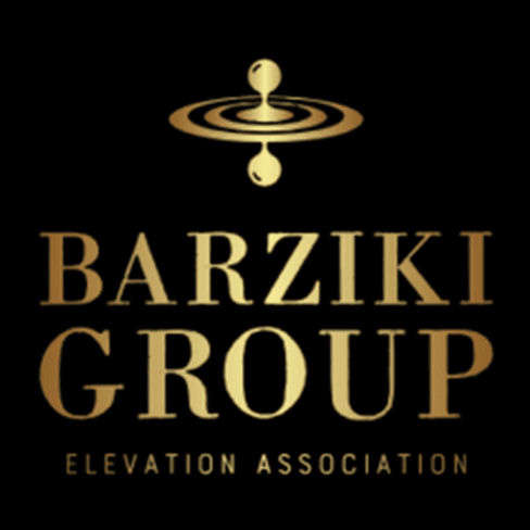 Barziki Group Logo