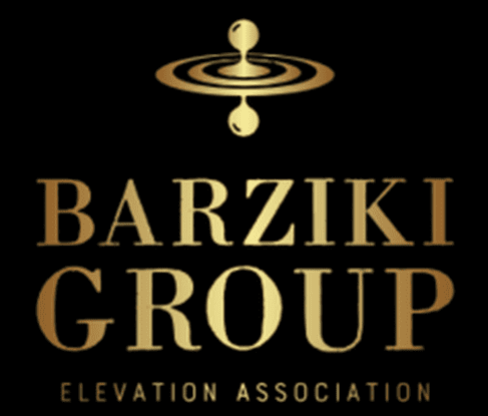 Barziki Group Logo